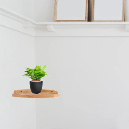 Floating Shelves - Rustic Wood Wall Mounted Corner Organizer