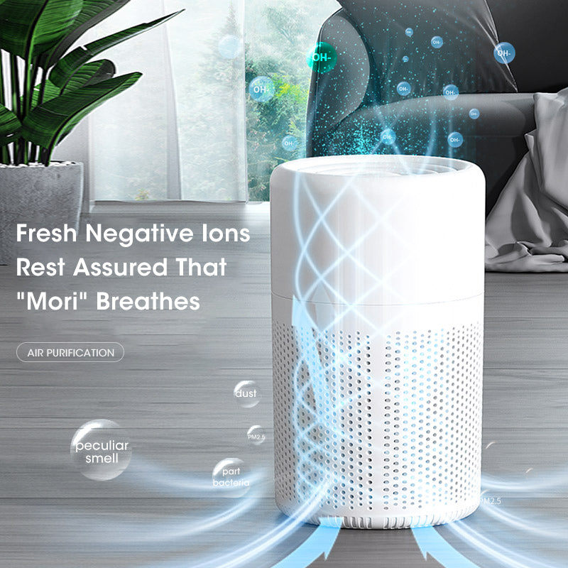Air Humidifier: HEPA Mini Desktop Air Humidifier - Portable & Powerful