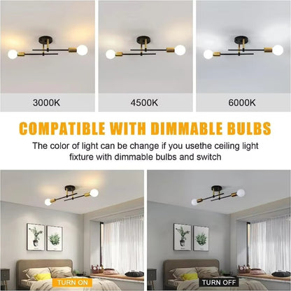 Modern Chandelier: 2-Light Flush Mount Chandelier - Indoor Ceiling Lamp