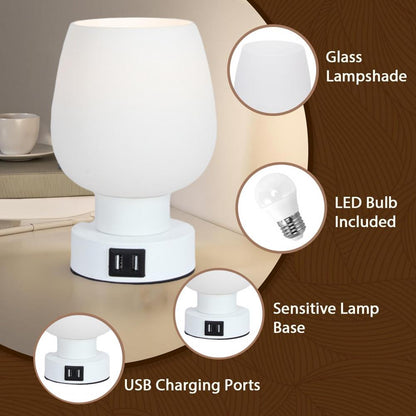 LED Desk Lamp: Touch Control, Dimmable Glass Shade
